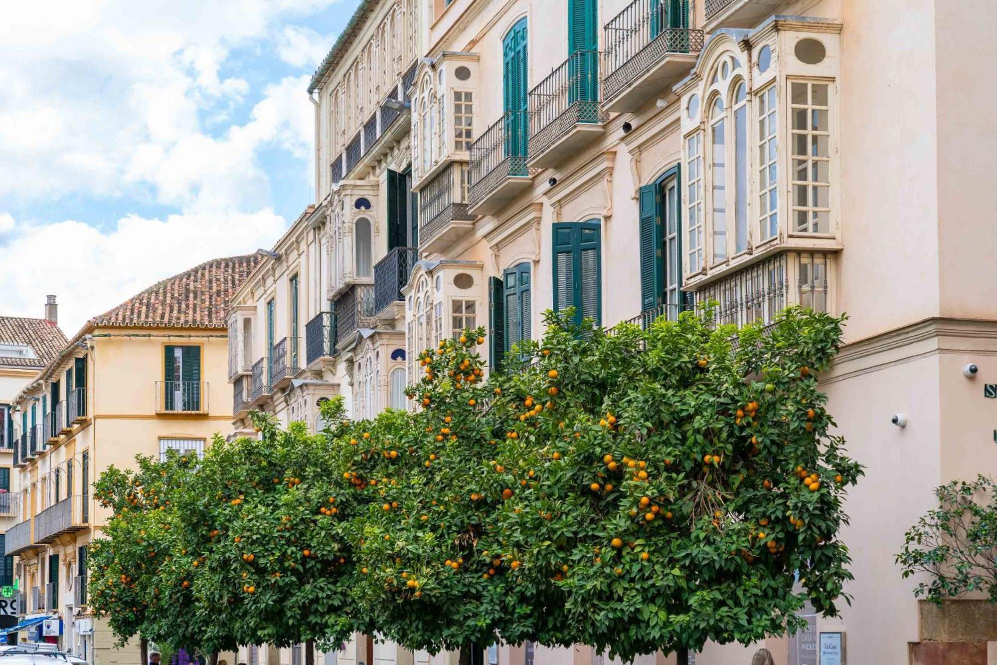 Limehome Malaga Calle Victoria Zewnętrze zdjęcie